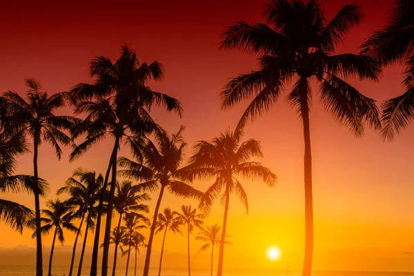 热带海滩日落 — 图库照片
