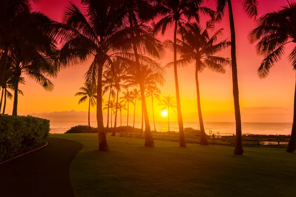 Τροπικό ηλιοβασίλεμα στην παραλία — Φωτογραφία Αρχείου
