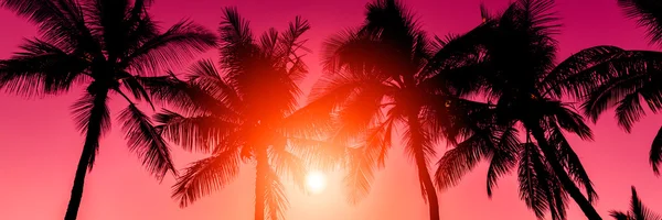 Tropical beach sunset — Stock Photo, Image