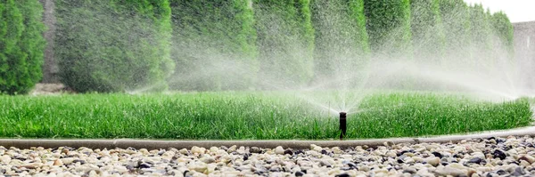 Sproeiers Besproeiing Gras Groen Gazon Tuin — Stockfoto