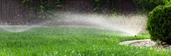 Sprinklers Watering Grass Green Lawn Garden — Stock Photo, Image