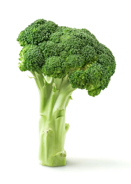 Broccolo — Foto Stock