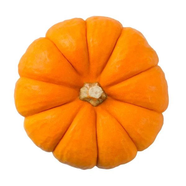 Pumpkin — Stock Photo, Image