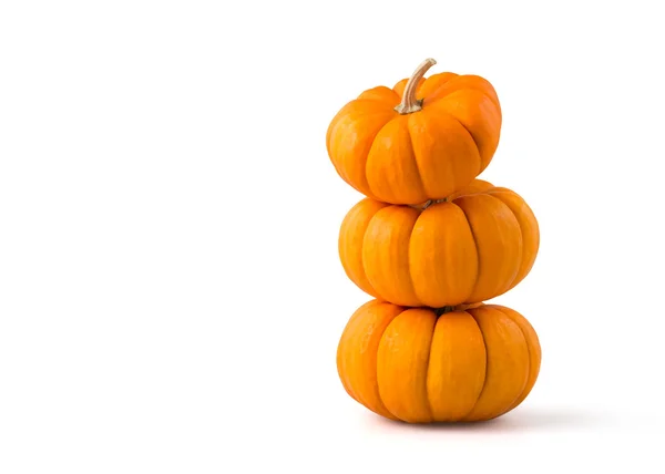 Pumpkins — Stock Photo, Image