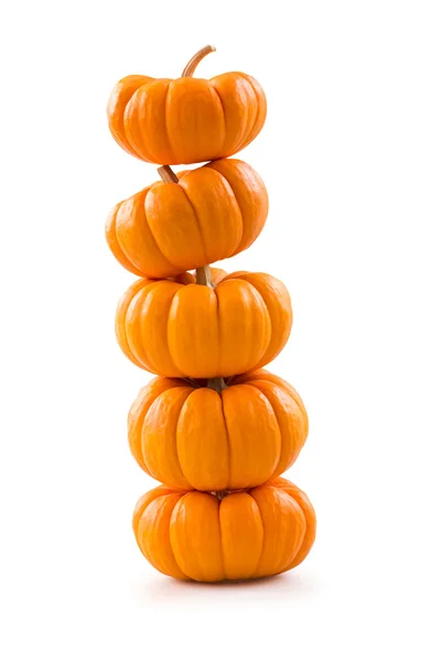 Pumpkins — Stock Photo, Image