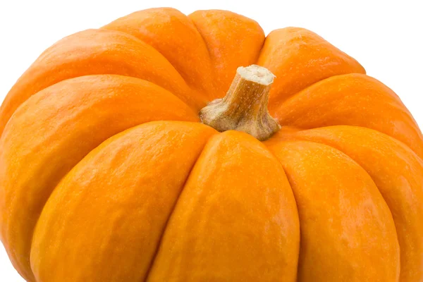 Pumpkin — Stock Photo, Image