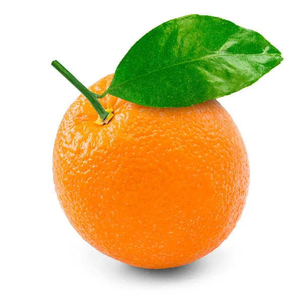 Orange — Stock Photo, Image