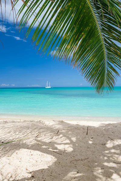 Playa tropical — Foto de Stock