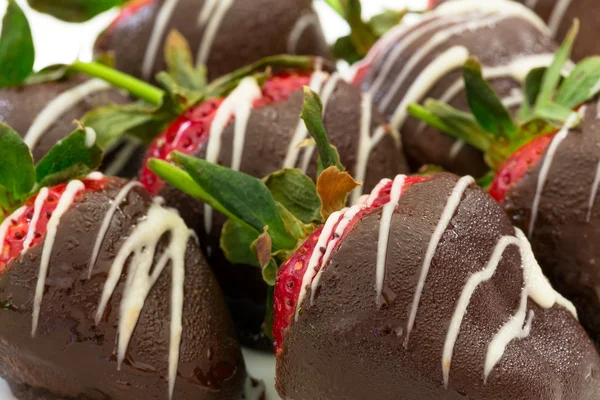 Chocolate dipped strawberries — Stock Photo, Image