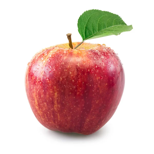 Roter Apfel — Stockfoto