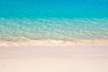 Tropik plaj arka planı