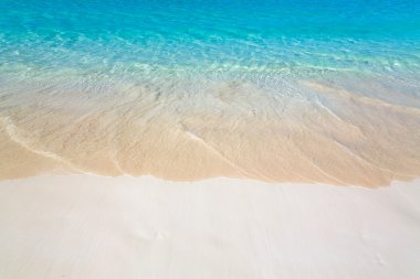 Tropik plaj arka planı