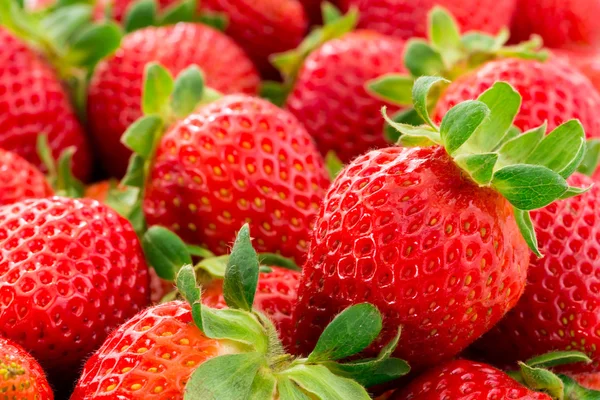 Erdbeeren — Stockfoto