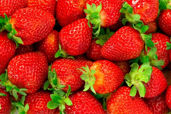 Erdbeeren — Stockfoto