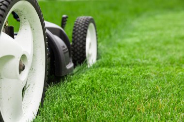 Çim biçme makinesi