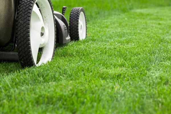 Lawn mower — Stock Photo, Image