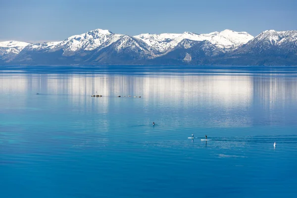 Paddle boarding Lago Tahoe —  Fotos de Stock