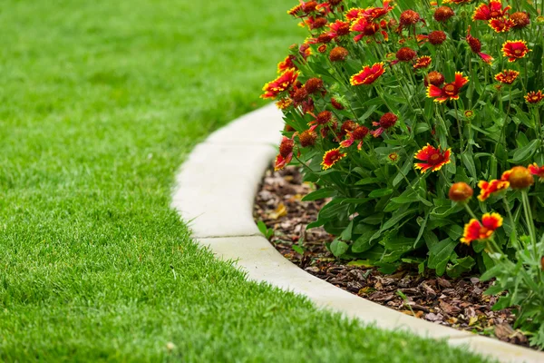 Garden — Stock Photo, Image