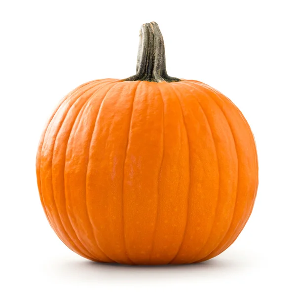 Calabaza — Foto de Stock