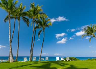 güneşli tropikal plaj