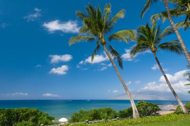 güneşli tropikal plaj