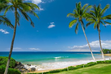 güneşli tropikal plaj