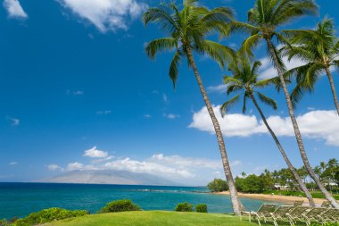 güneşli tropikal plaj