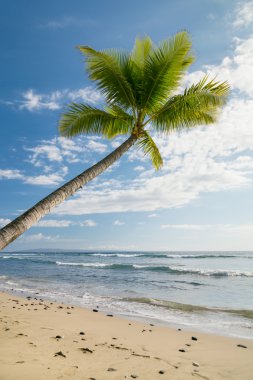 güneşli tropikal plaj
