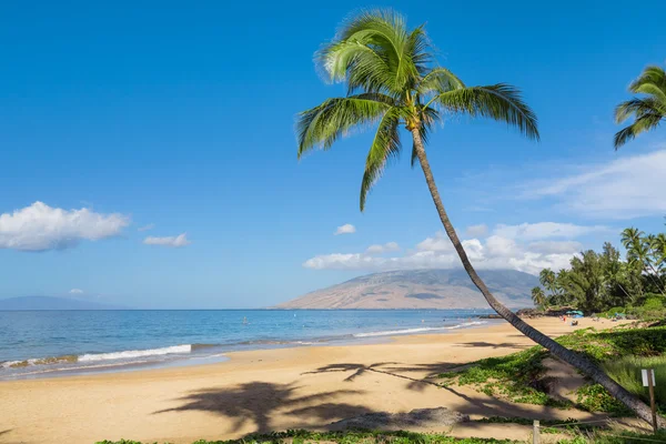 Playa tropical soleada — Foto de Stock