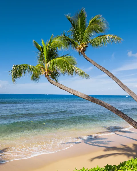 Plage tropicale ensoleillée — Photo