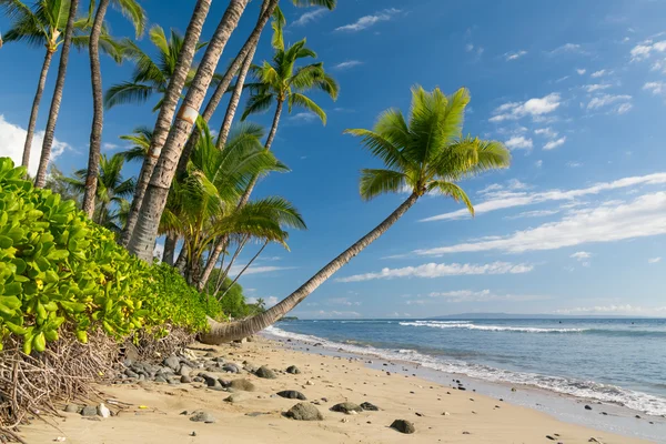 Playa tropical soleada — Foto de Stock