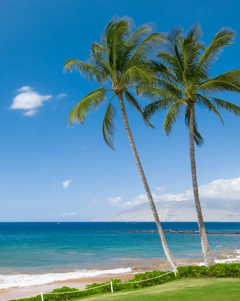 Playa tropical soleada — Foto de Stock