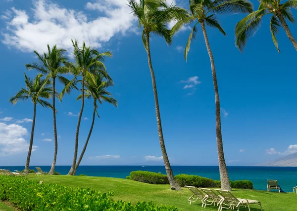 Plage tropicale ensoleillée — Photo