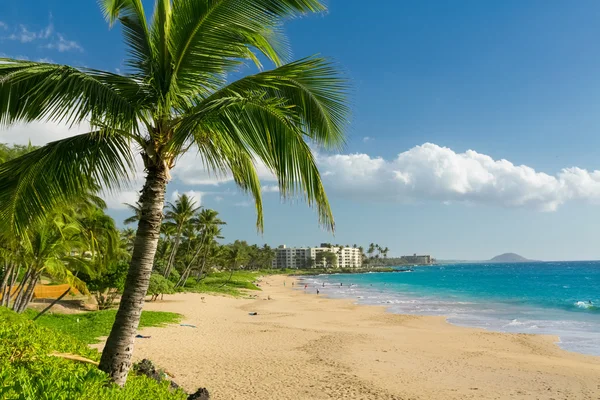 Plage tropicale ensoleillée — Photo