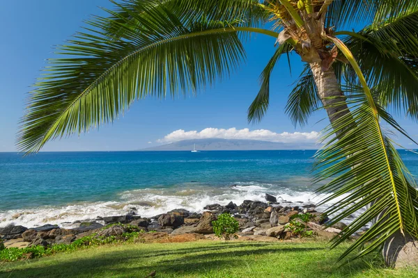 Playa tropical soleada — Foto de Stock