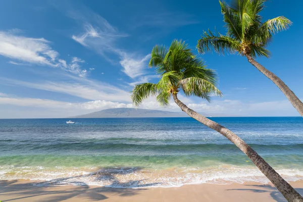 Playa tropical soleada — Foto de Stock