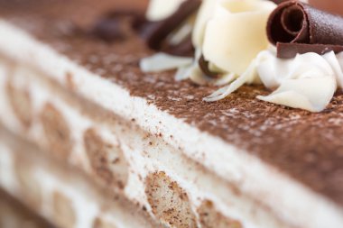 Tiramisu pasta yakın çekim