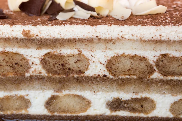 Tiramisu dort detail — Stock fotografie