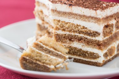 Tiramisu pasta yakın çekim