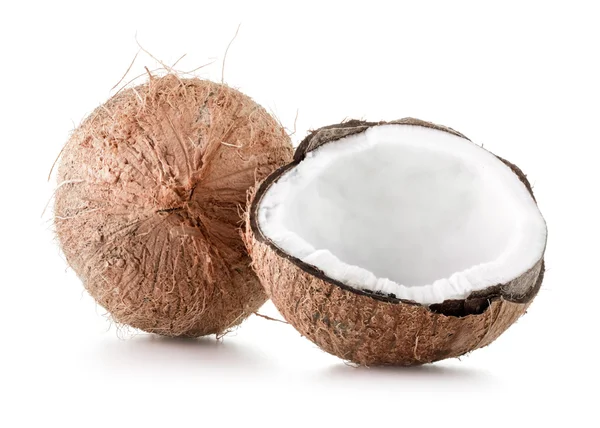 Čerstvé kokosové ovoce — Stock fotografie