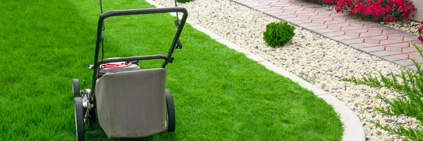 Küçük çim biçme makinesi — Stok fotoğraf