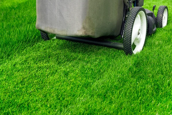 Malá sekačka na trávu — Stock fotografie