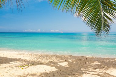 tropik sahil cenneti