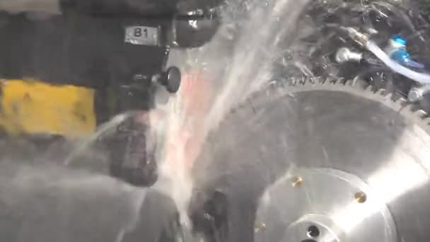 Máquina para afiar uma lâmina de serra circular — Vídeo de Stock