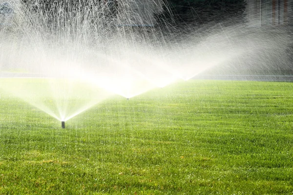 Aspersor de jardim no gramado verde — Fotografia de Stock