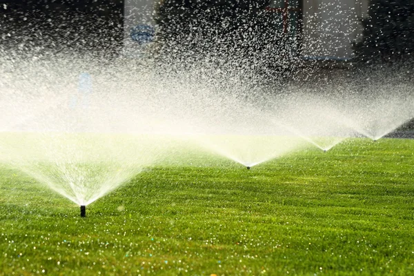 Irrigatore da giardino sul prato verde Immagine Stock