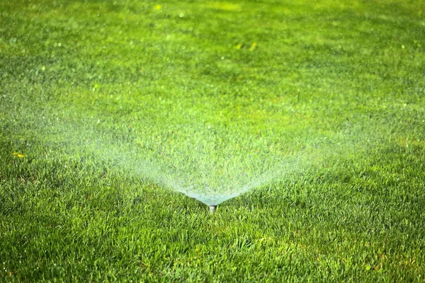 Garden sprinkler on the green lawn Stock Picture