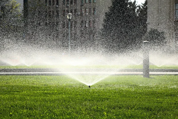 Aspersor de jardim no gramado verde — Fotografia de Stock