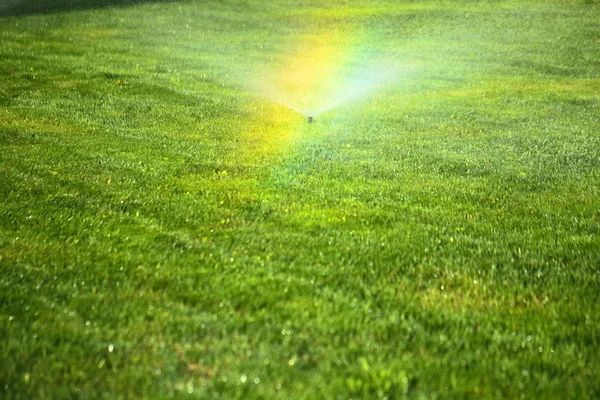 Aspersor de jardim no gramado verde — Fotografia de Stock