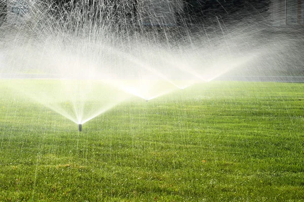 Aspersor de jardim no gramado verde — Fotografia de Stock